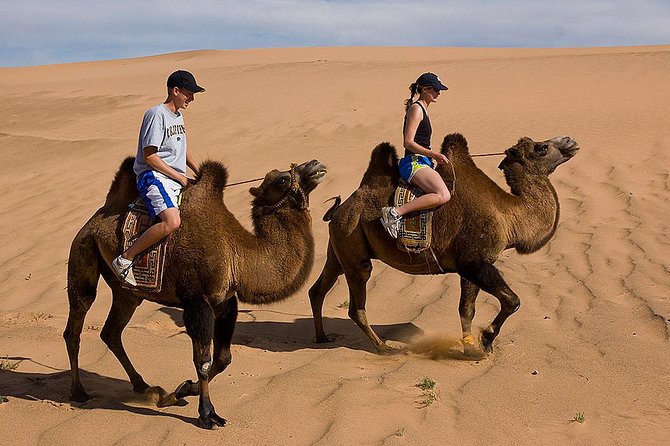 1 Day Semi-Gobi All-included tour - Key points before you book