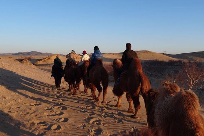 1 Day Semi-Gobi All-included tour - Elsen Tasarkhai: a reachable taste of the Gobi