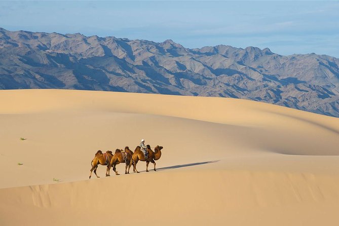 1 Day Semi-Gobi Tour Including Lunch And Free Camel +Bonus Khustai National Park - What this one-day Mongolia tour is really offering