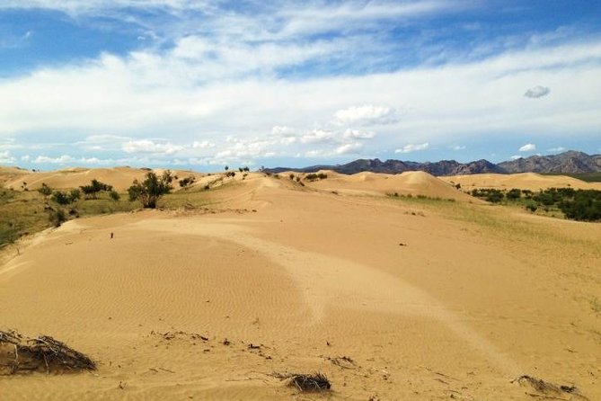 1 Day Semi-Gobi Tour Including Lunch And Free Camel +Bonus Khustai National Park - Lunch on the road
