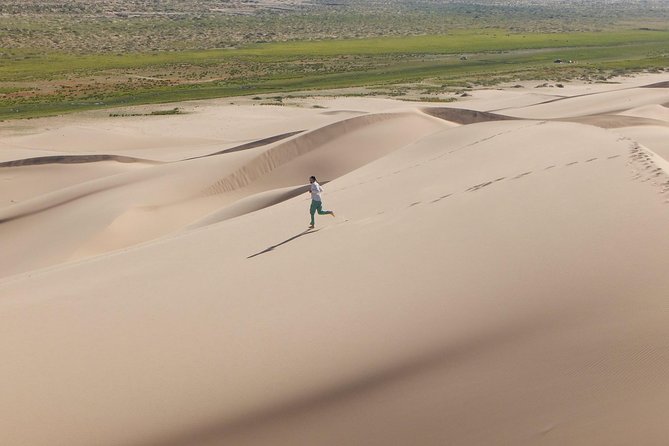 1 Day Semi-Gobi Tour with Lunch And Enjoying Camel or Horseback - The long road from Ulaanbaatar