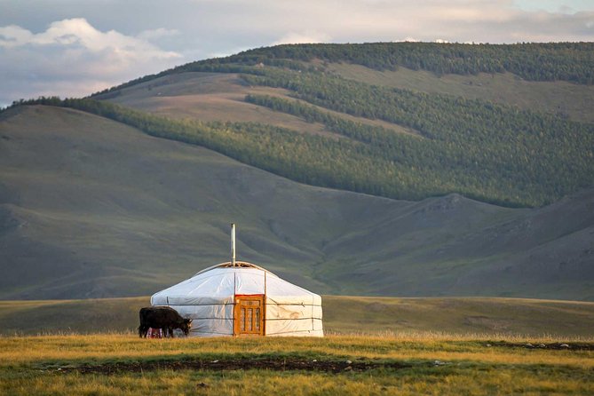 1 Day Tour: Khustai National Park - Who will enjoy this tour most?