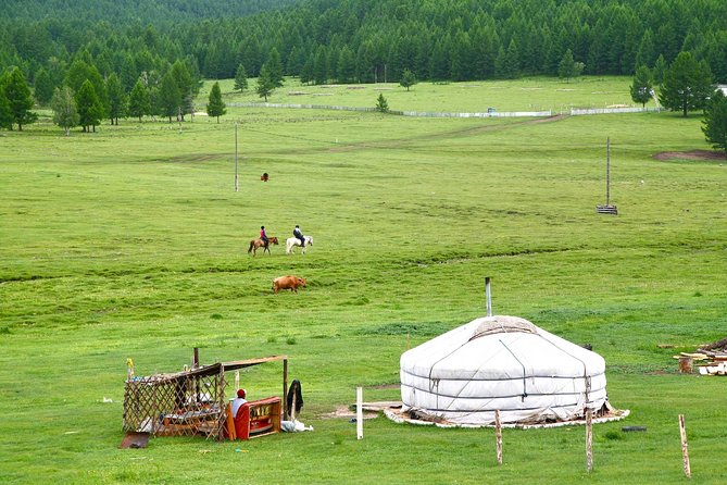1 Day Tour: Khustai National Park - Searching for takhi at Khustai Nuruu