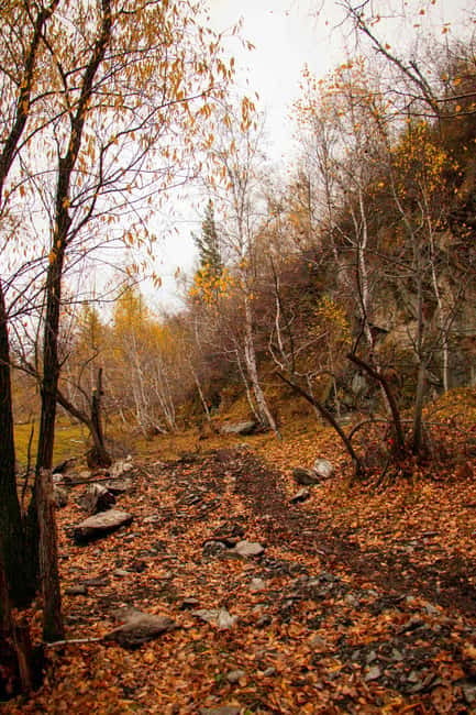 2 Day Horse trekking in Terelj national park - Turtle Rock, an easy first landmark