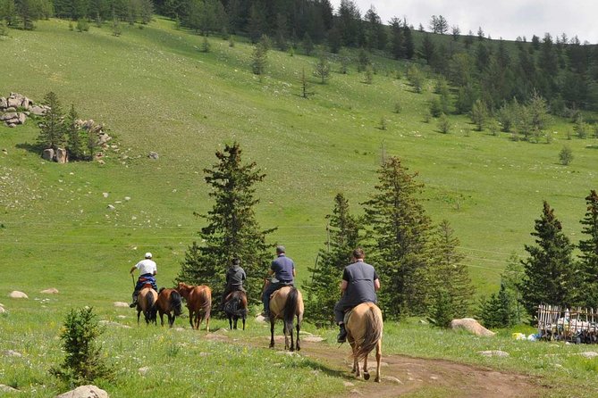 2 Days Tour: Terelj National Park And Chinggis Statue - Why this two-day route works well from Ulaanbaatar