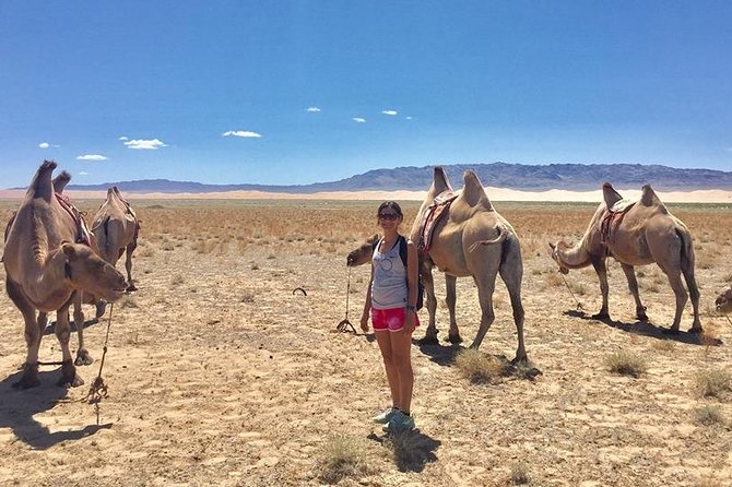 2D,1N Gobi desert and Old city Kharkhorum stay with Nomadic family - What this two-day route is really designed to do