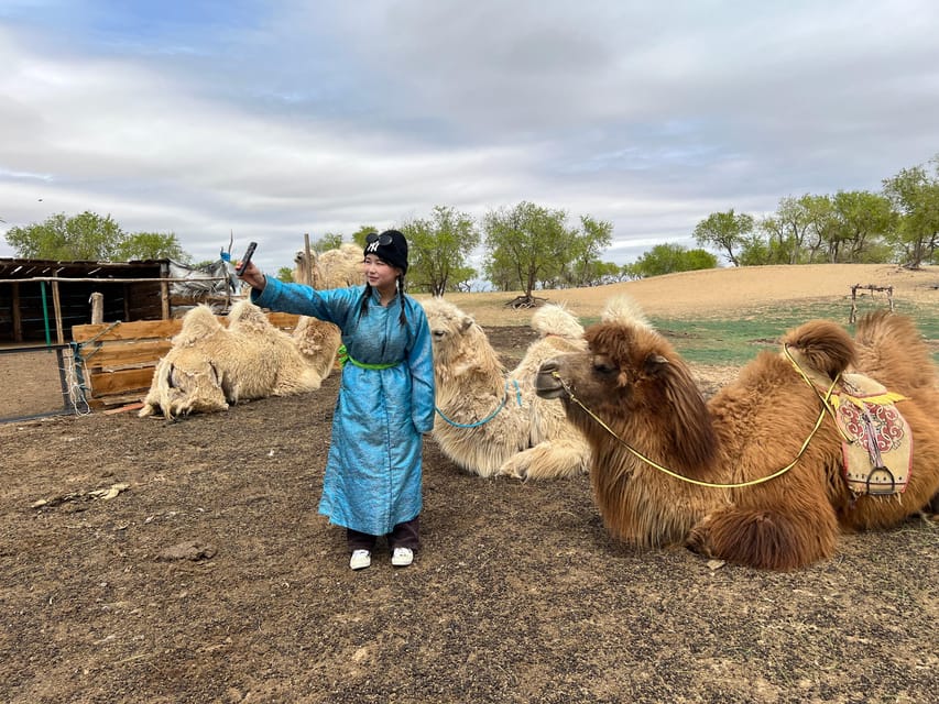 4 Day Best of Central Mongolia tour, Chinggis Khan statue - Day One: From Ulaanbaatar to Ancient Kharkhorum