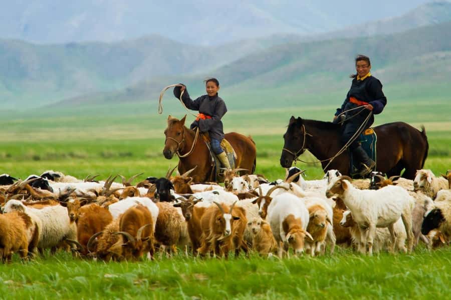 4 Day Central Mongolia - Small details that will improve the trip
