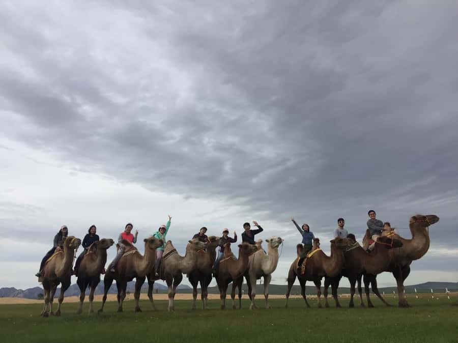 4 Day Central Mongolia - Who will enjoy this trip most
