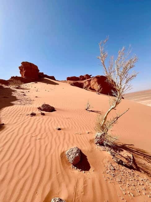 4 day Gobi in express short time - Day two: Baga Gazariin Chuluu and the rocky Gobi