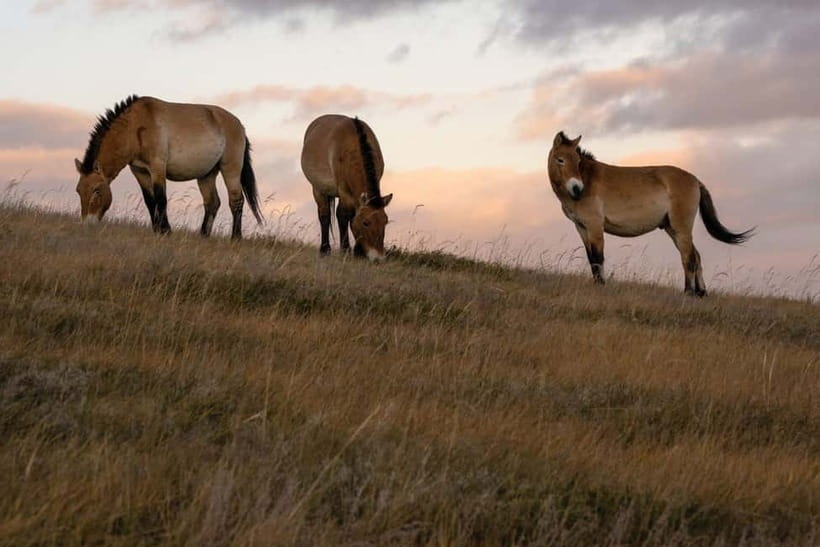4 Days Central Mongolia-Amazing experiece - Practical packing and planning advice