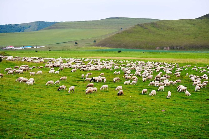 4 Days Tour: Central Mongolia - Why four days works for Central Mongolia