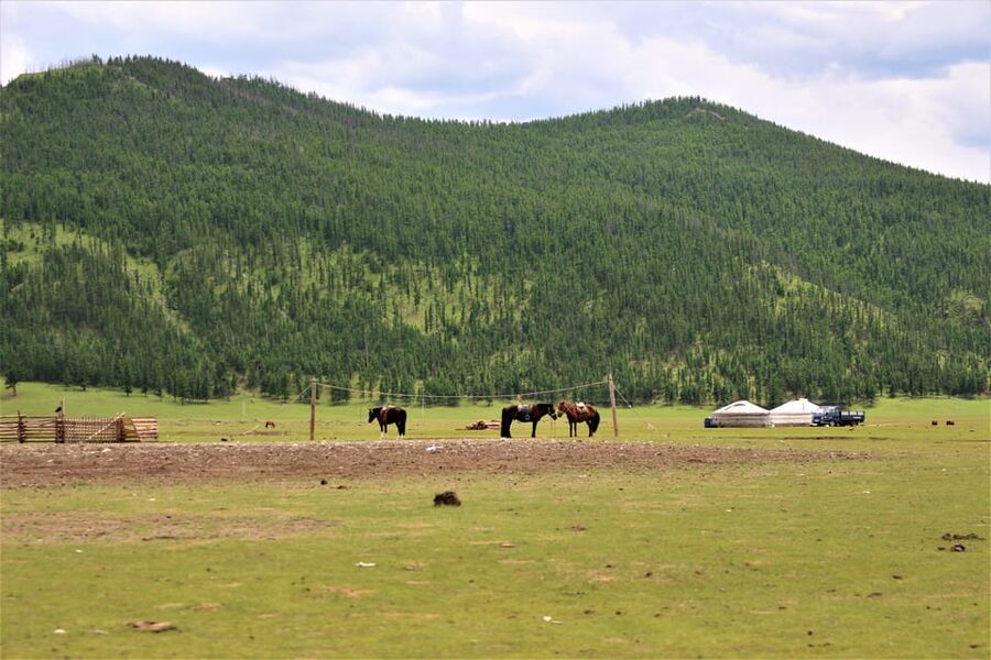 5 day Central Mongolia and Nomad stay tour - Day 4: Erdene Zuu and the old capital of Kharkhorum