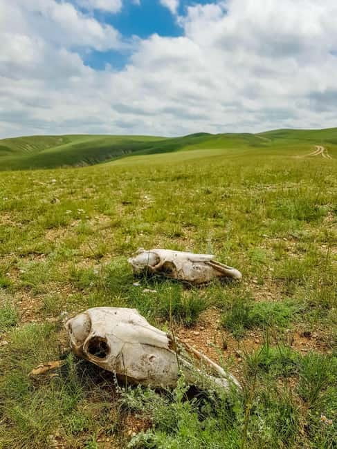 5 day Central Mongolia and Nomad stay tour - Ger hostels: traditional, useful, and basic
