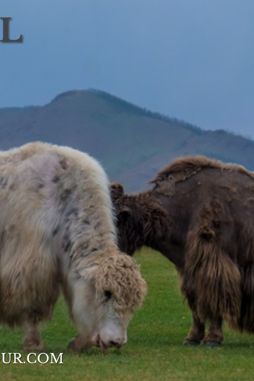 5 day /Terelj, Chinggis Khaan statue, Central Mongolia - Day 5: A long road back to Ulaanbaatar