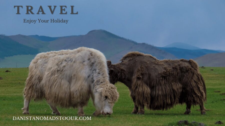 5 day /Terelj, Chinggis Khaan statue, Central Mongolia - Day 1: Turtle Rock, horseback riding, and the great statue