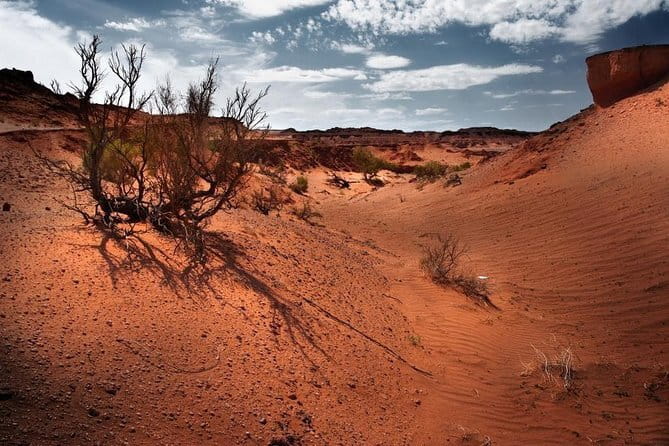 6 Days Color of Gobi Desert - What the six-day route is really like