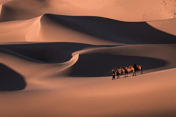 6 Days Gobi Desert Tour with complimentary airport pickup - Key points to know before booking
