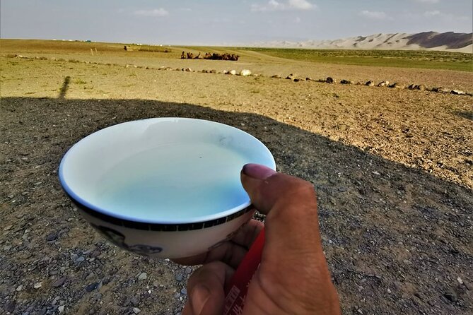 8 Day Great Gobi and Central Mongolia - Day 4: Bayanzag, Ongi Monastery, and a change of mood