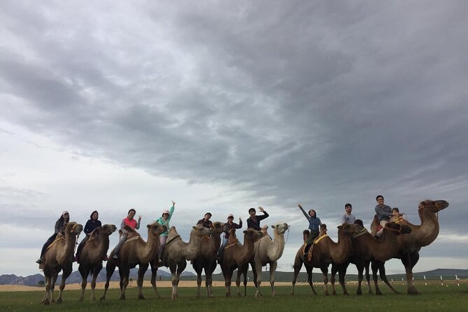 8 Day Great Gobi and Central Mongolia - Day 6: A needed pause in Orkhon Valley