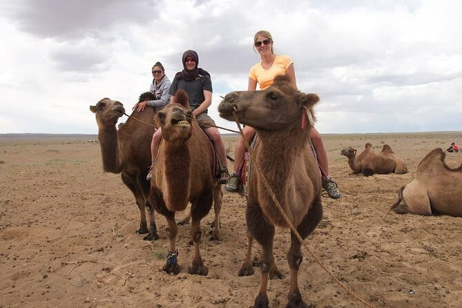 8 Day Great Gobi and Central Mongolia - Day 2: Yolyn Am in Gobi Gurvansaikhan National Park