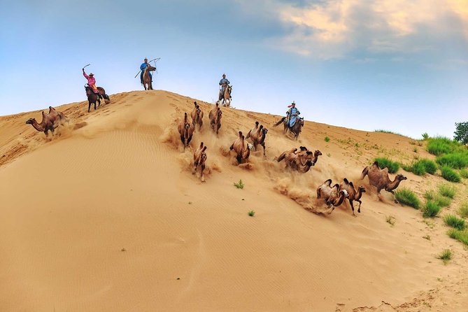 8 Days Tour: Gobi Desert And Kharkhorin - Key points to know before booking