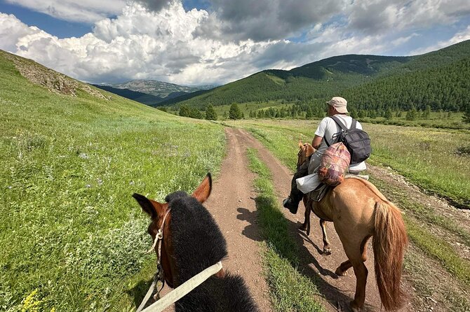 A Day Authentic Mongolian Trip near Ulaanbaatar all-inclusive - Dinner, ger comfort, and a sky full of stars