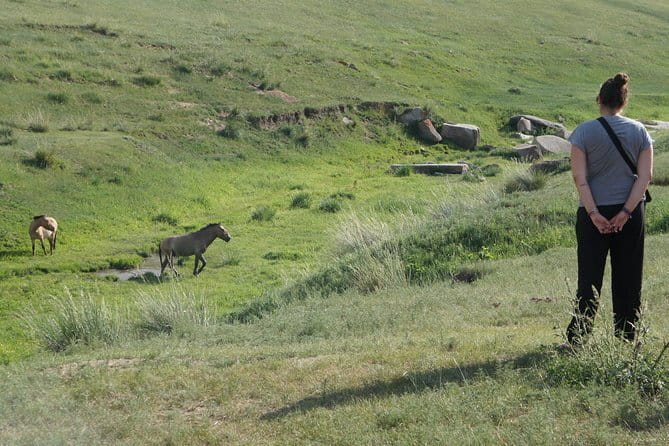 Authentic Mongolian two days tours in Terelj & Khustai National P - Leaving Ulaanbaatar at 9:00 am