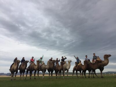 Best 6-Day Gobi Tour Discover Mongolia