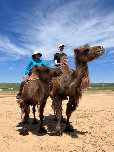Camel Trails and Bird Tales: Discovering Elsen Tasarkhai - Lunch before the camels