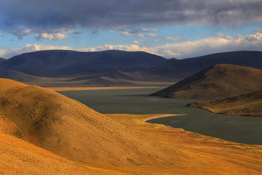 Discover / 8 day Great Gobi and Central Mongolia - Day 4: Khongor Sand Dunes by camel