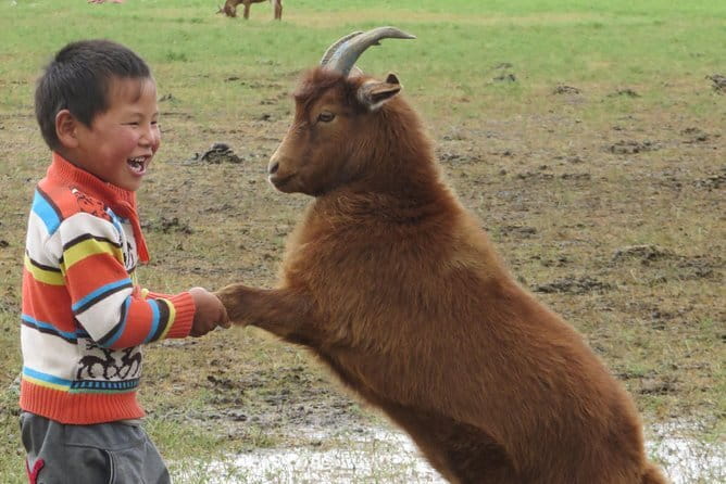 Essence of Mongolia 5 Days - Day two: Erdene Zuu and the old capital of Kharkhorum