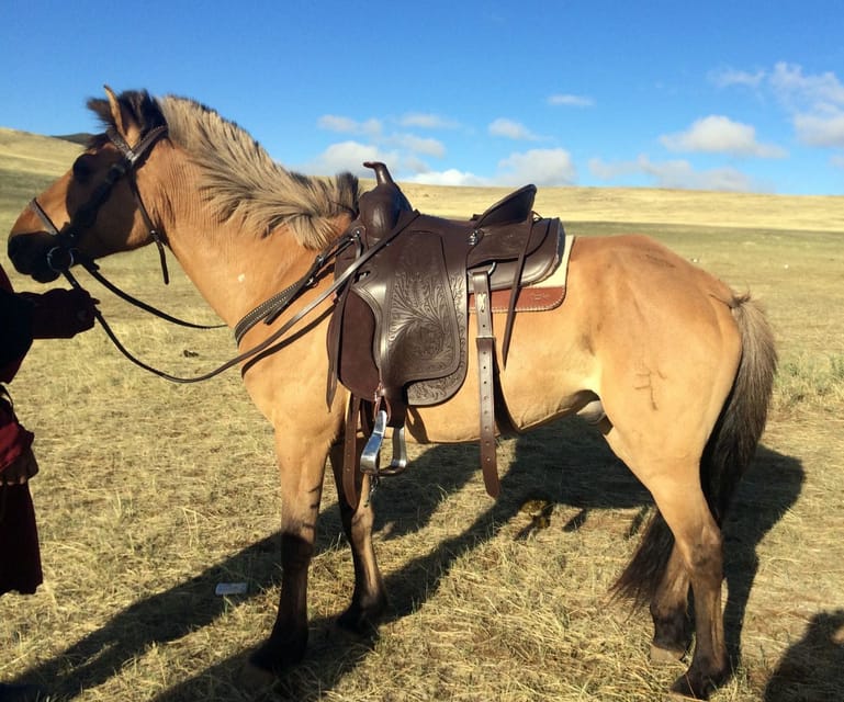 From Ulaanbaatar: Day Trip to Hustai National Park - Walking, bird watching, and time in the park
