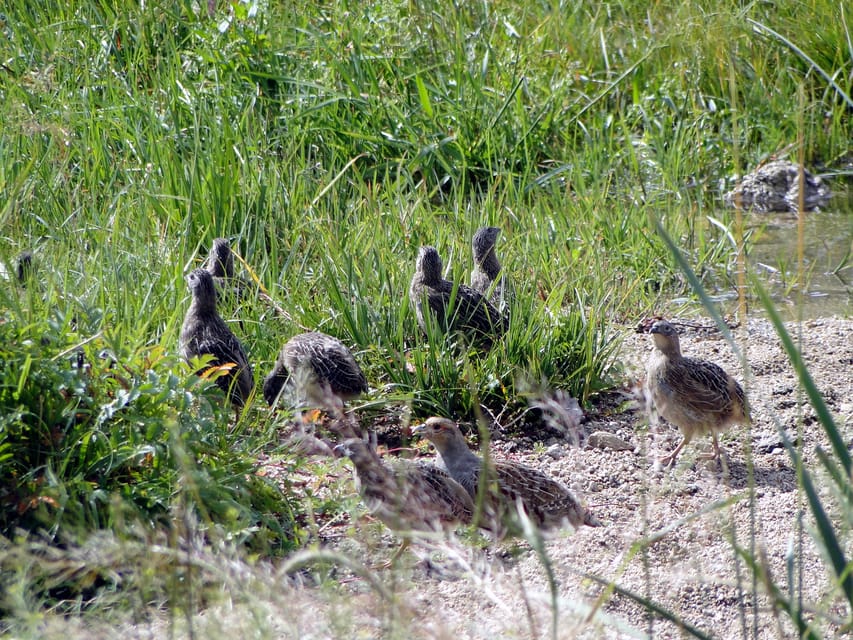 From Ulaanbaatar: Day Trip to Hustai National Park - Lunch and a glimpse of nomadic life