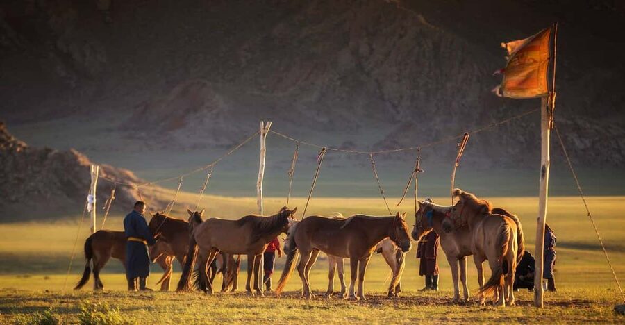 From Ulaanbaatar: Day Trip to Hustai National Park - Is $195 a fair price?