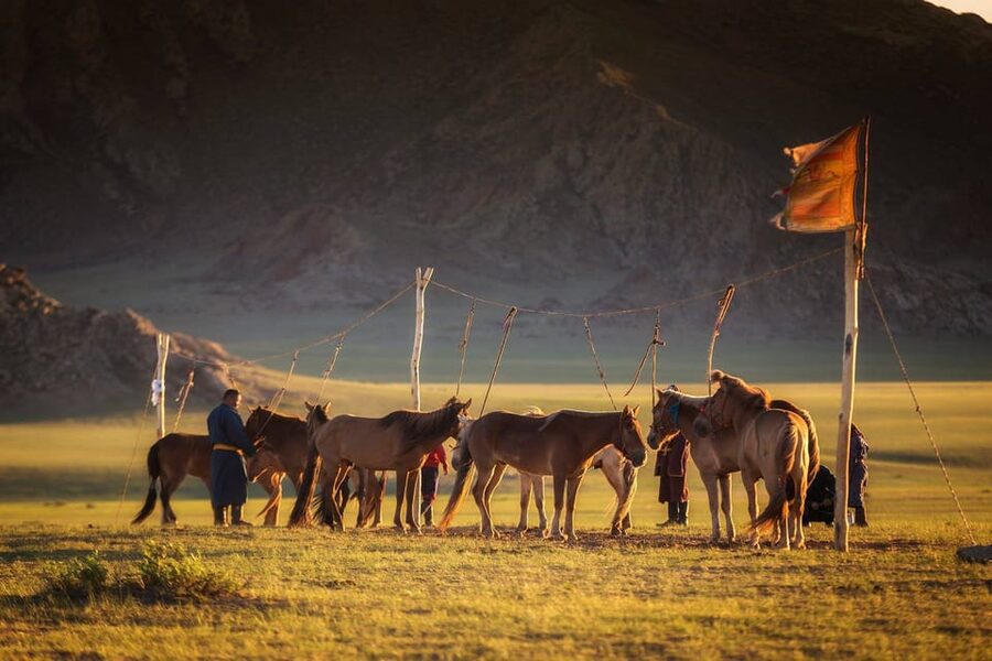 From Ulaanbaatar: Day Trip to Hustai National Park - What to pack for this outdoor day