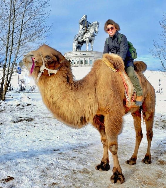 From Ulaanbaatar: Genghis Khan Statue NationalPark CamelRide - Aryabal Monastery and the reward at the top