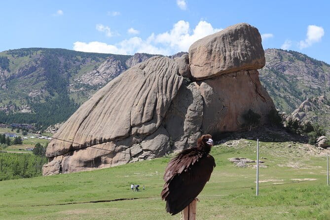 Full Day Chinggis Khaan Statue & Terelj NP Tour +Horseride, Eagle - The short climb to Ariyabal Meditation Temple