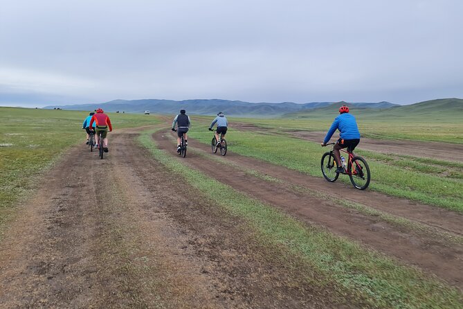 Full Day Mountain Biking Tour in Khan Khenty National Park - Lunch around the 26th kilometer