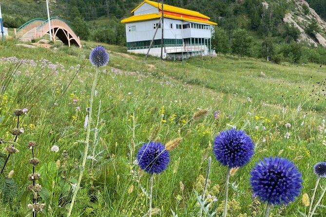 Full Day Private Tour in Terelj National Park with Horse Riding - The Two-Hour Return to Ulaanbaatar