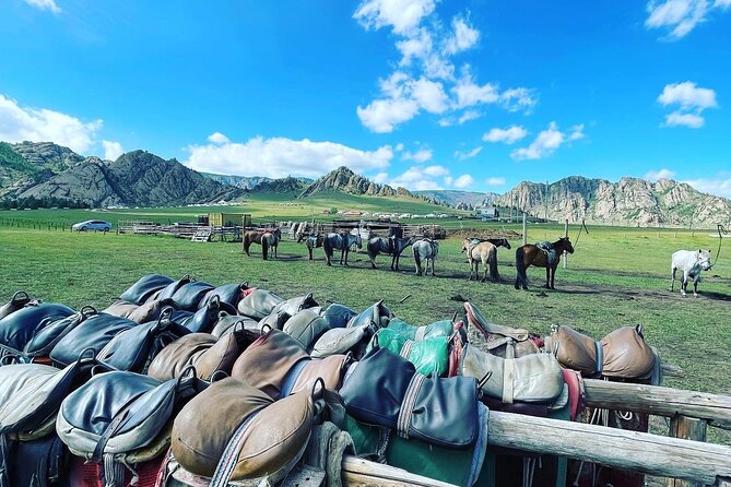 Full Day Private Tour in Terelj National Park with Horse Riding - Is $130 Per Person a Fair Price?