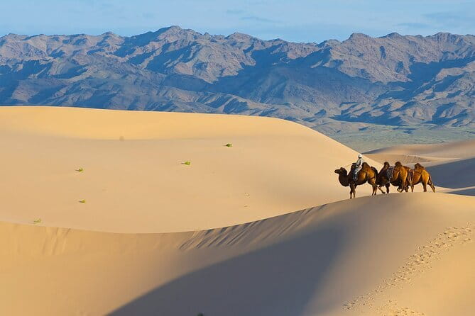 Gobi tour Mongolia 7 Days - Day 7: The long road back to Ulaanbaatar