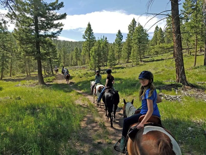 Guided Day Tour Terelj National Park Chinggis Khaan Statue - Lunch, transport, and what the $161 covers