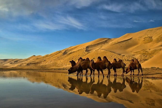 Kharkhorum, Semi-Gobi 2 days 1 night private trip - Kharkhorin Museum and Mongolia’s ancient capital