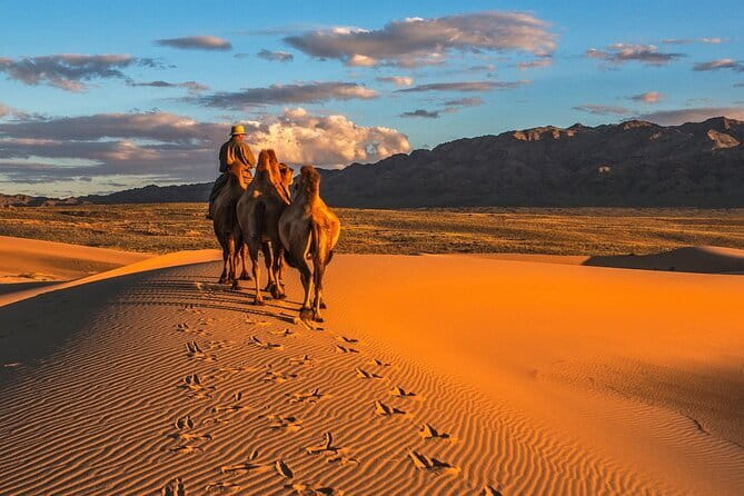 Kharkhorum, Semi-Gobi 2 days 1 night private trip - The long drive back to Ulaanbaatar