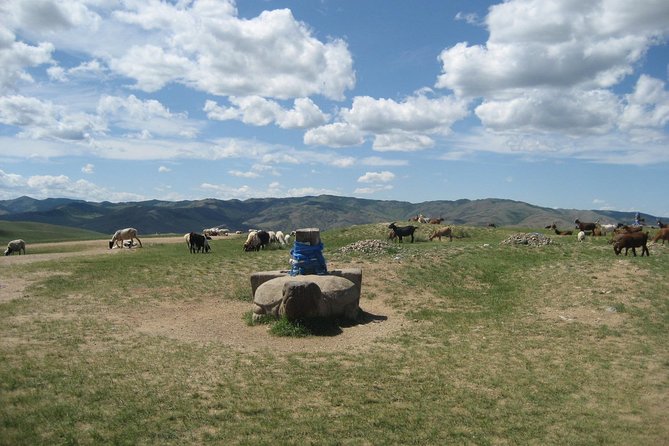 Mini Gobi and the ancient capital Kharkhorin - 4 days - Key Points at a Glance