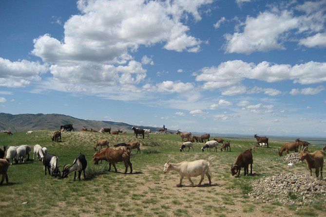 Mini Gobi and the ancient capital Kharkhorin - 4 days - Day Two: Kharkhorin and Erdene Zuu
