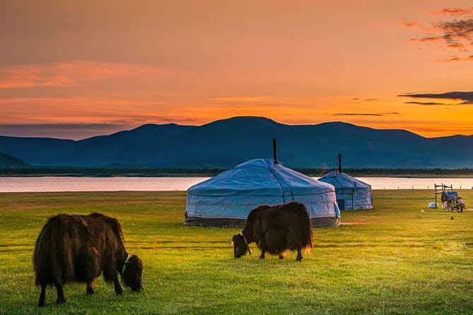 Mongolia - Sedan, Lexus, UAZ Minivan, 4WD Tour& Transport Service - Comfort, Road Conditions, and Realistic Expectations