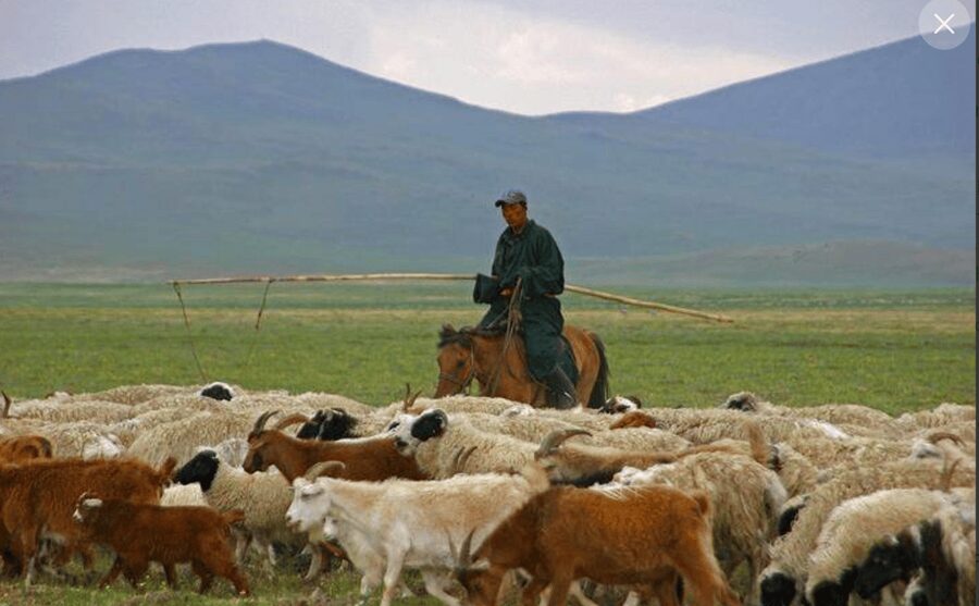 MONGOLIAN NOMADS: 2-Day Horse Trekking & Cow Milking Tour - Who will enjoy this, and who should skip it