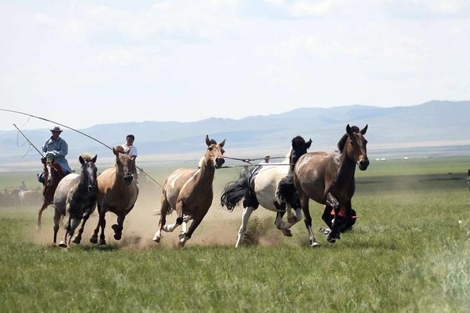 Overnight Semi-Gobi Tour with Nomadic HomeStay - Why the Semi-Gobi works for a short Mongolia trip